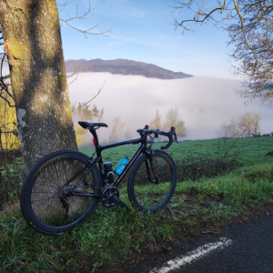 Road bike X16